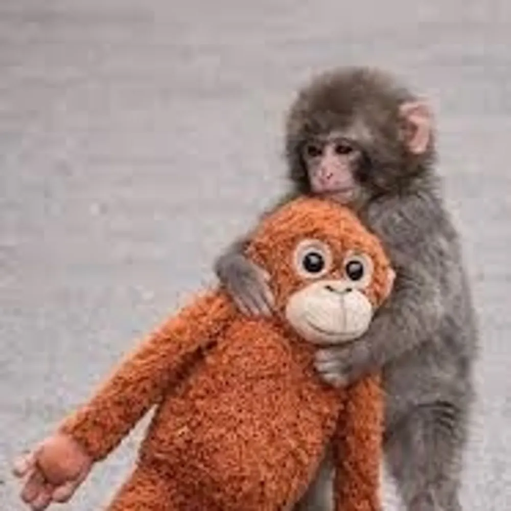 fzupancle.bsky.social's profile picture