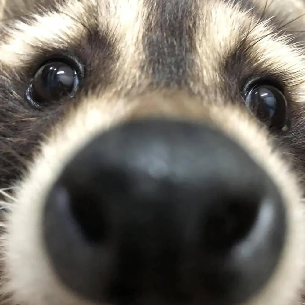 crisppratt.bsky.social's profile picture