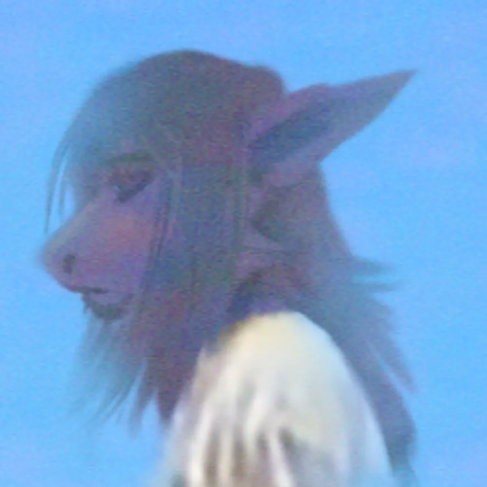 kohllnoodle.bsky.social's profile picture