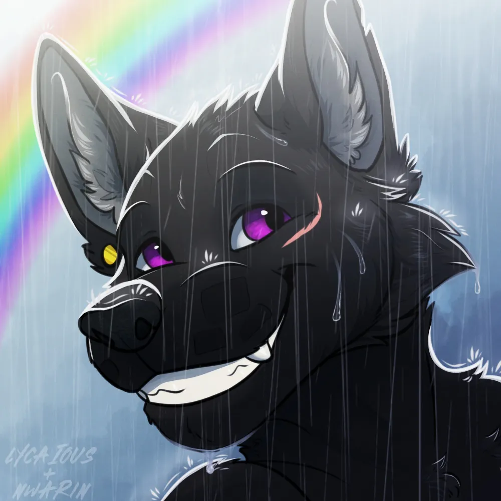 reiswulf.bsky.social's profile picture