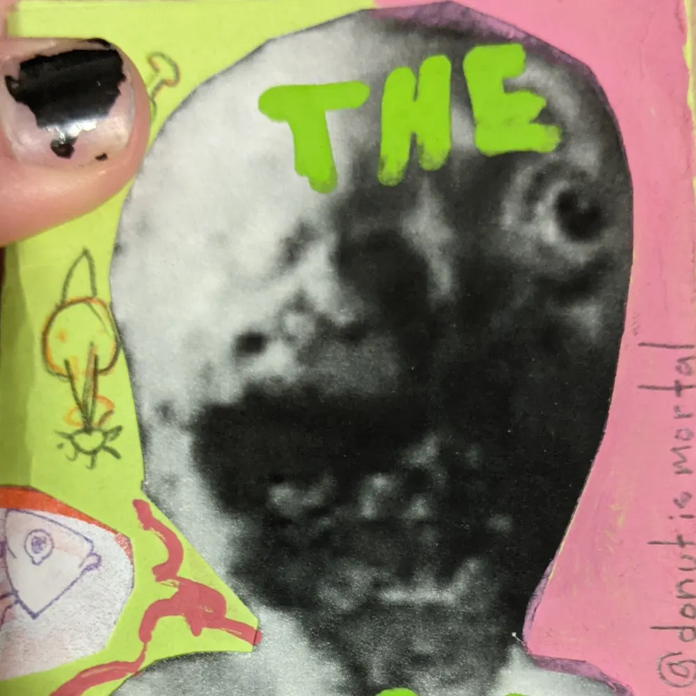 donutismortal.bsky.social's profile picture