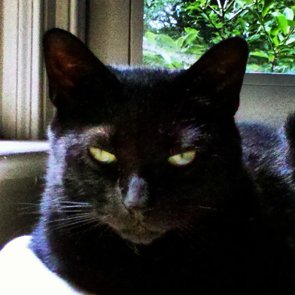 juliea75.bsky.social's profile picture