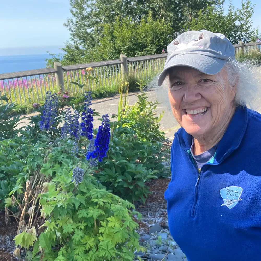 lorstehn.bsky.social's profile picture