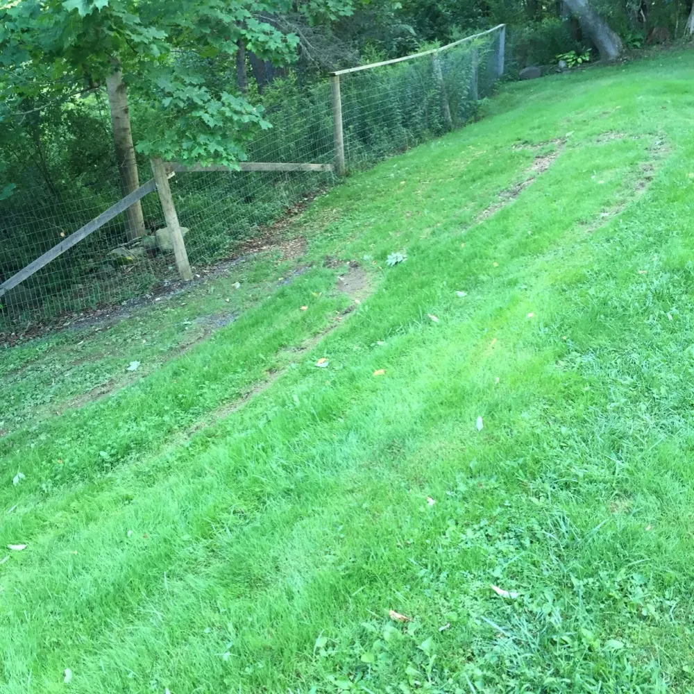 jharsin.bsky.social's profile picture