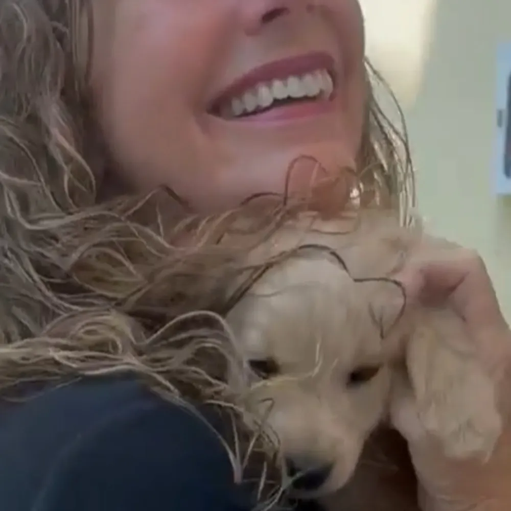 drhellodarkness.bsky.social's profile picture