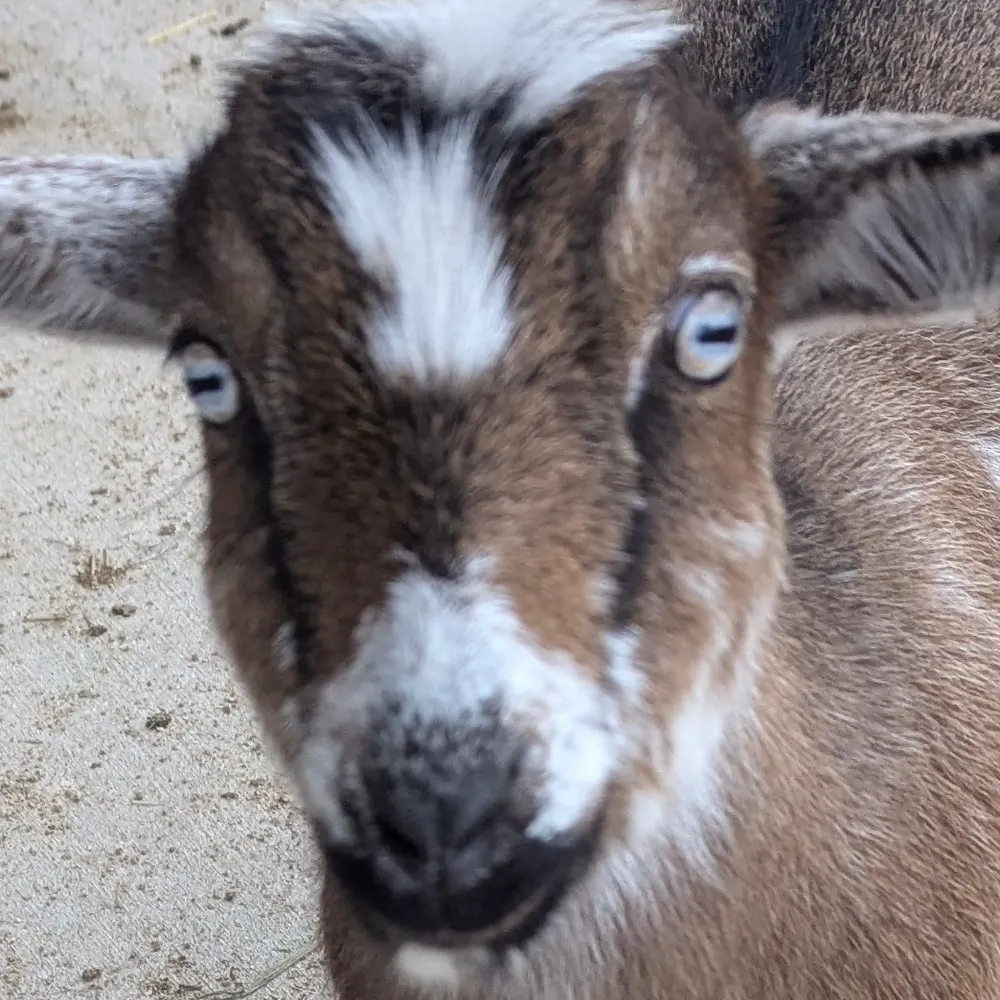 geobern.bsky.social's profile picture