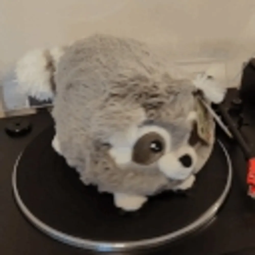 ndm.raccoon.codes's profile picture