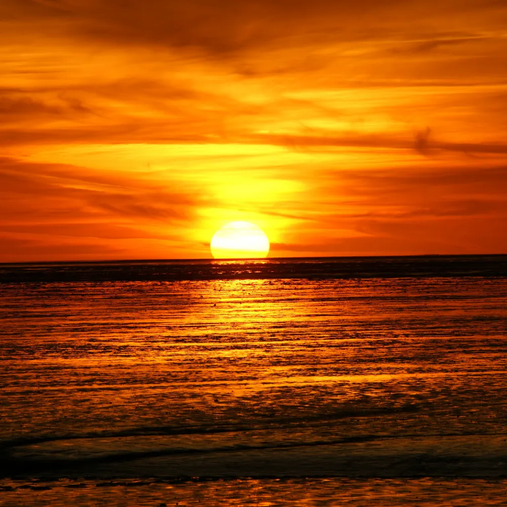 wogehtslang.bsky.social's profile picture