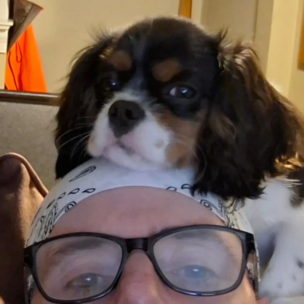 300ps.bsky.social's profile picture