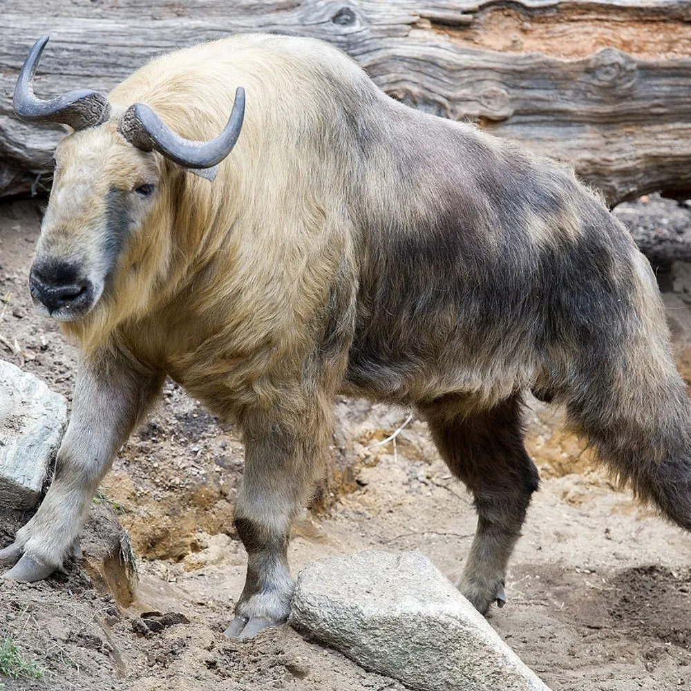 dhpljm266.bsky.social's profile picture