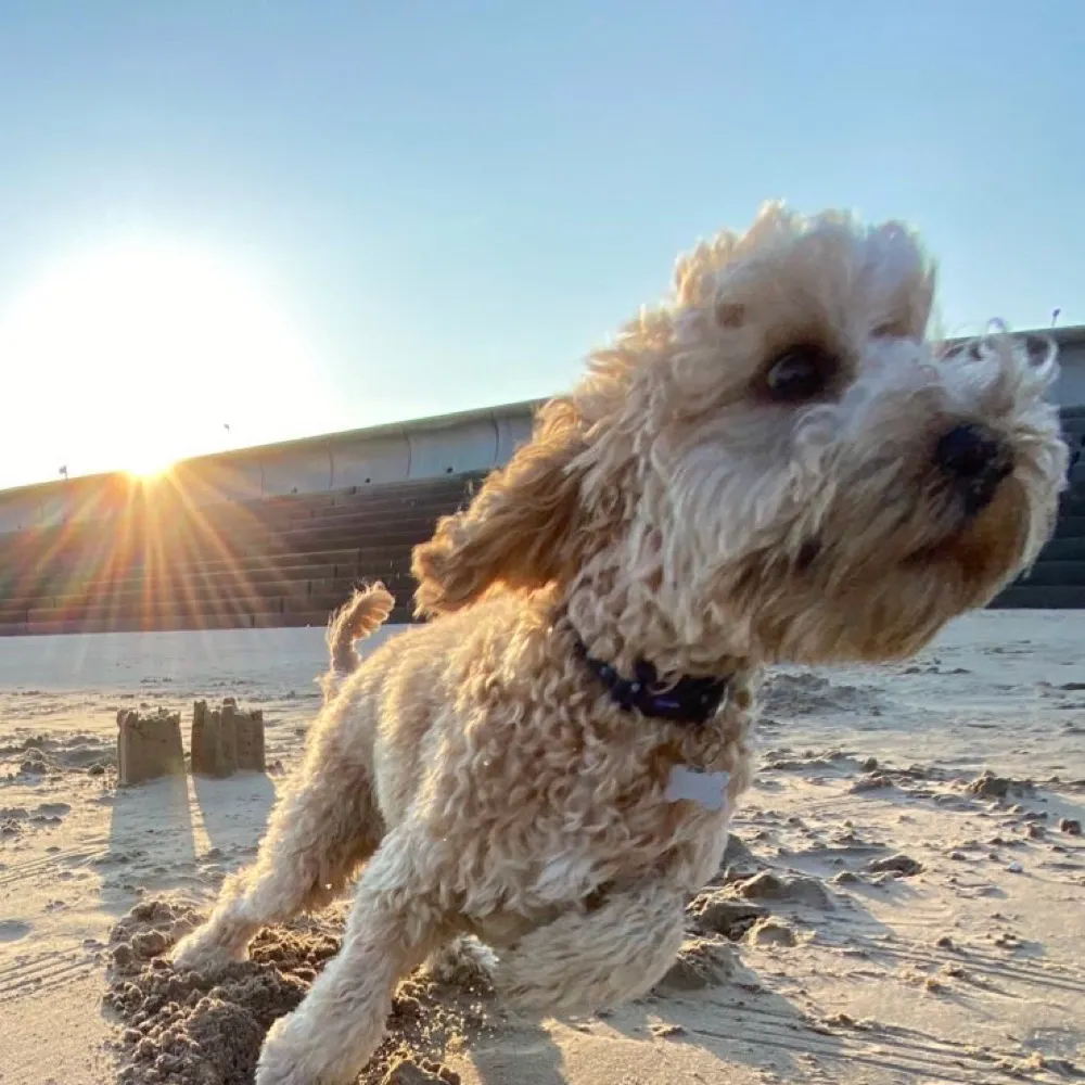 wellowdriver.bsky.social's profile picture