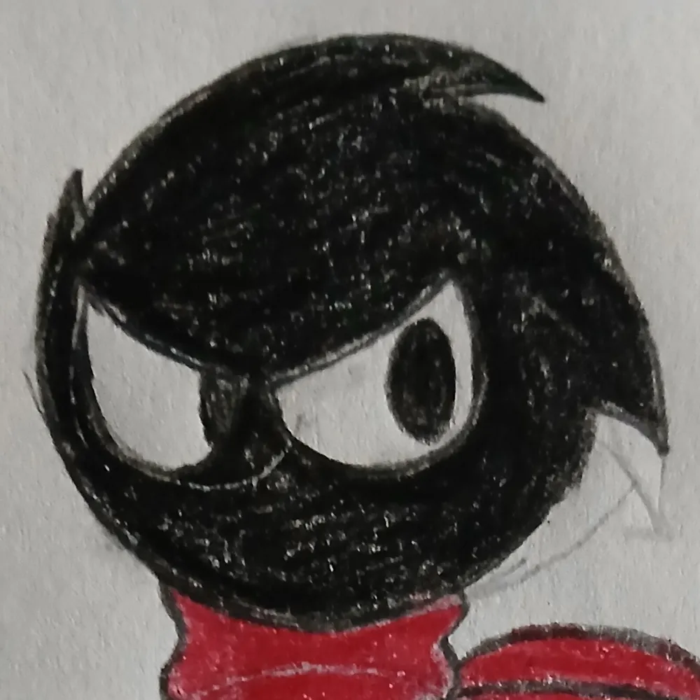 gamecrashersink.bsky.social's profile picture