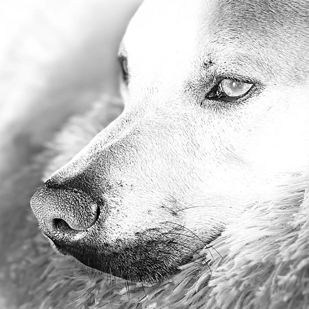 bigtmoney.bsky.social's profile picture