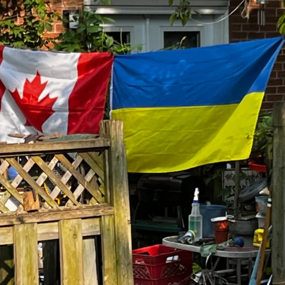 robppm319.bsky.social's profile picture