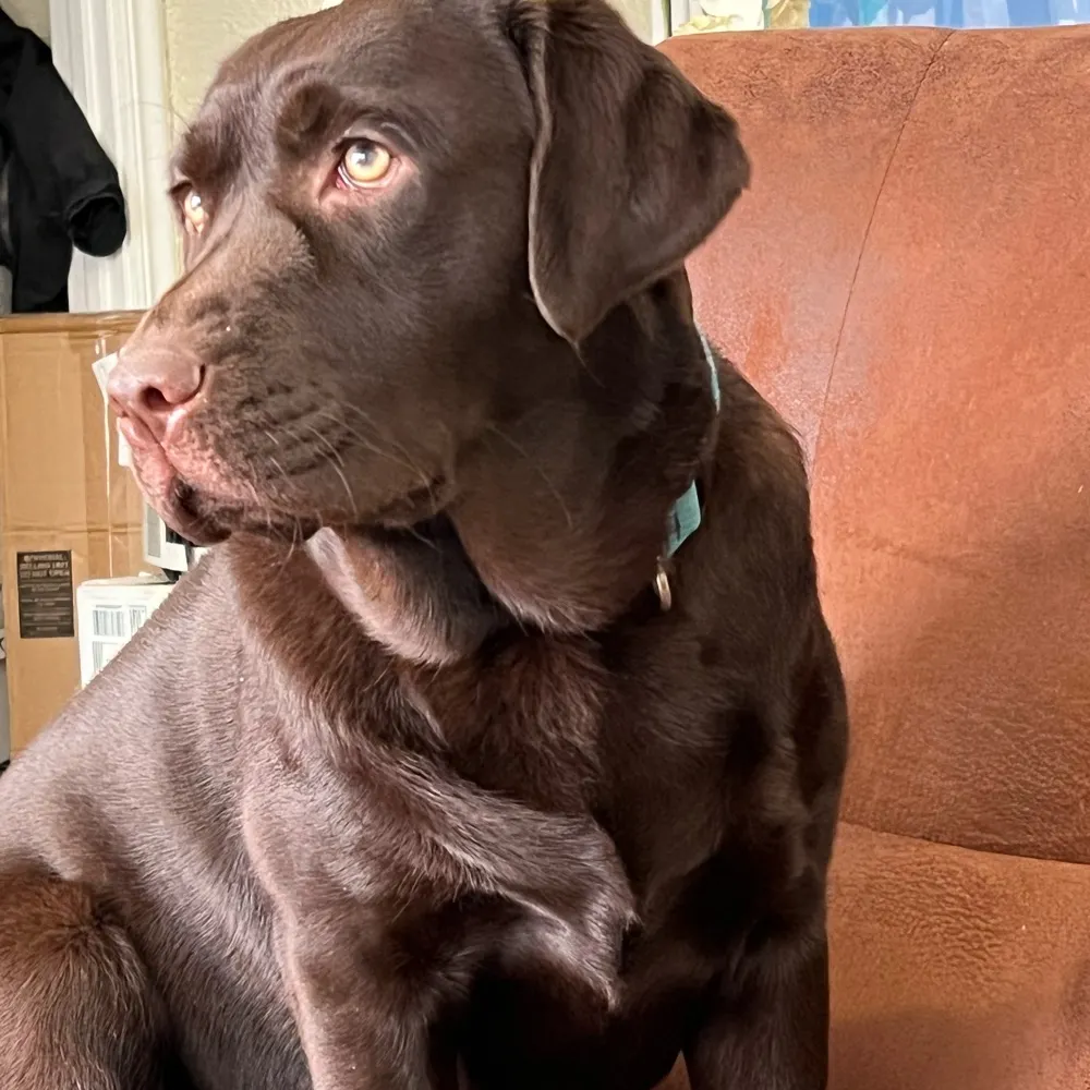 marianfried.bsky.social's profile picture