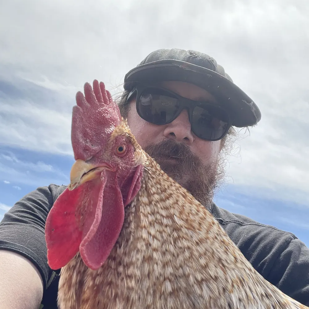 mrcellophane87.bsky.social's profile picture