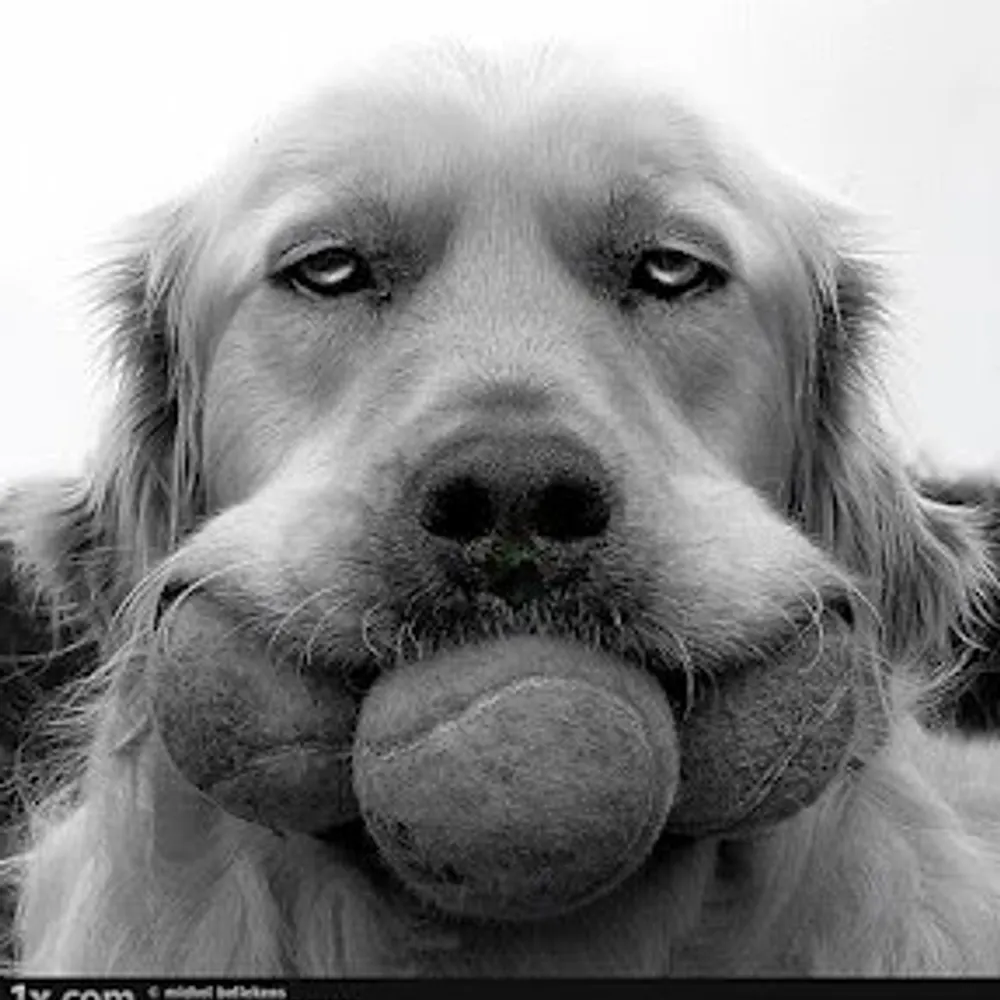 brettezeleliquide.bsky.social's profile picture