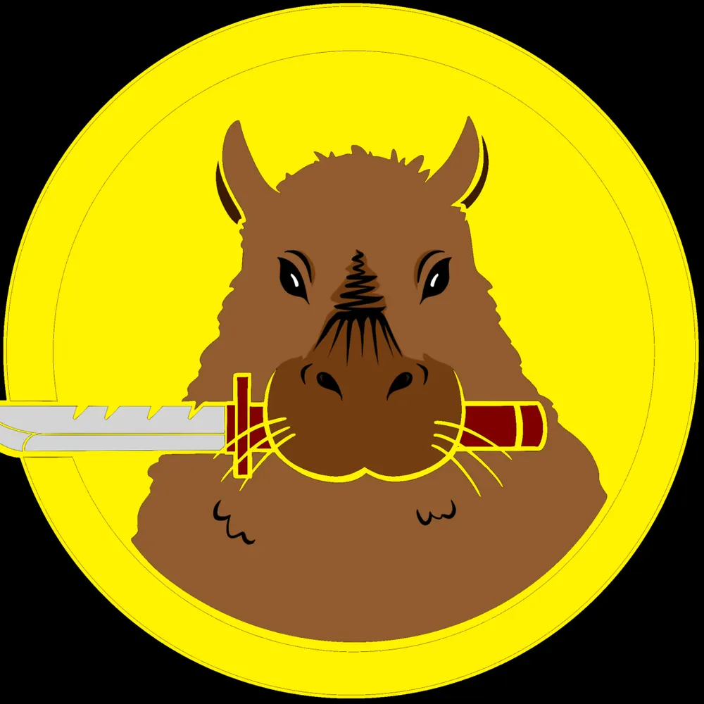 capablebara.bsky.social's profile picture