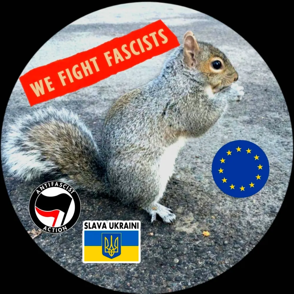 squeakysquirrel.bsky.social's profile picture