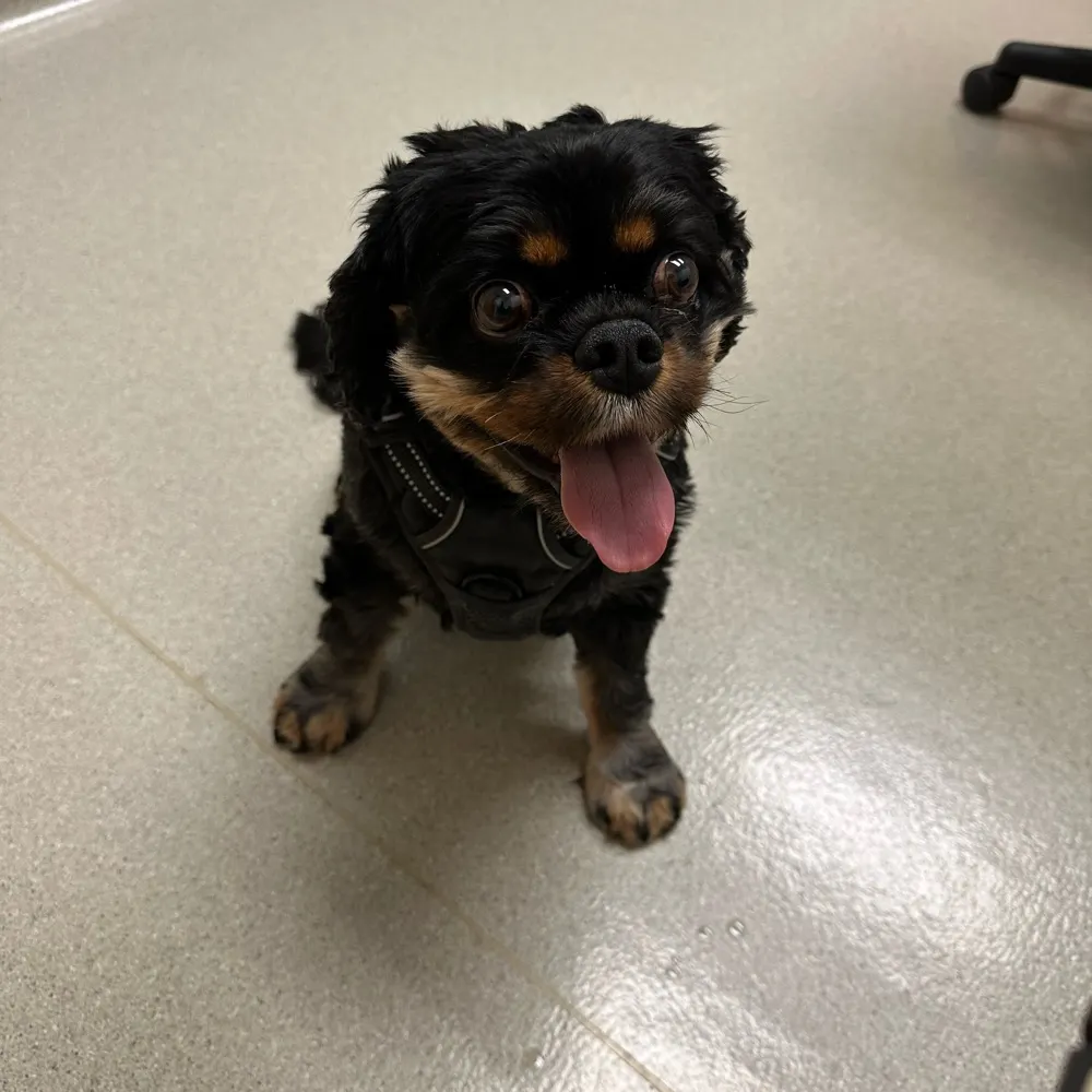 jimmyalapdance.bsky.social's profile picture