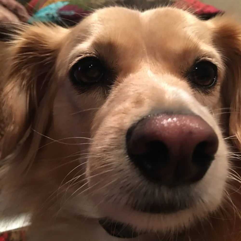 arniemi.bsky.social's profile picture