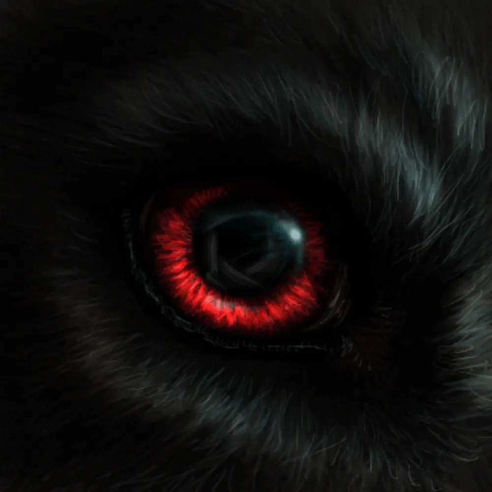 dantewolfington.bsky.social's profile picture