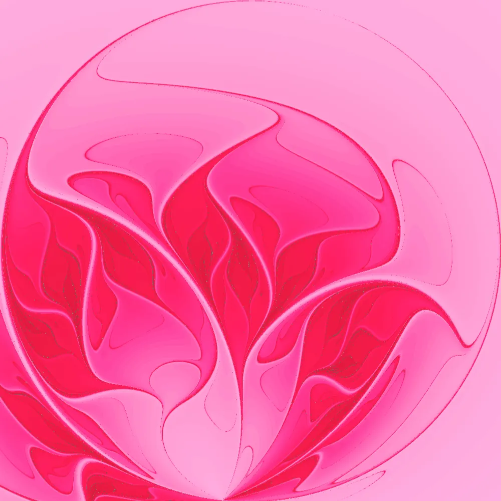 ponder.ooo's profile picture