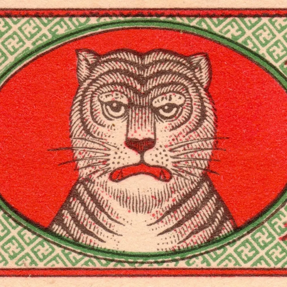 chillmun.bsky.social's profile picture