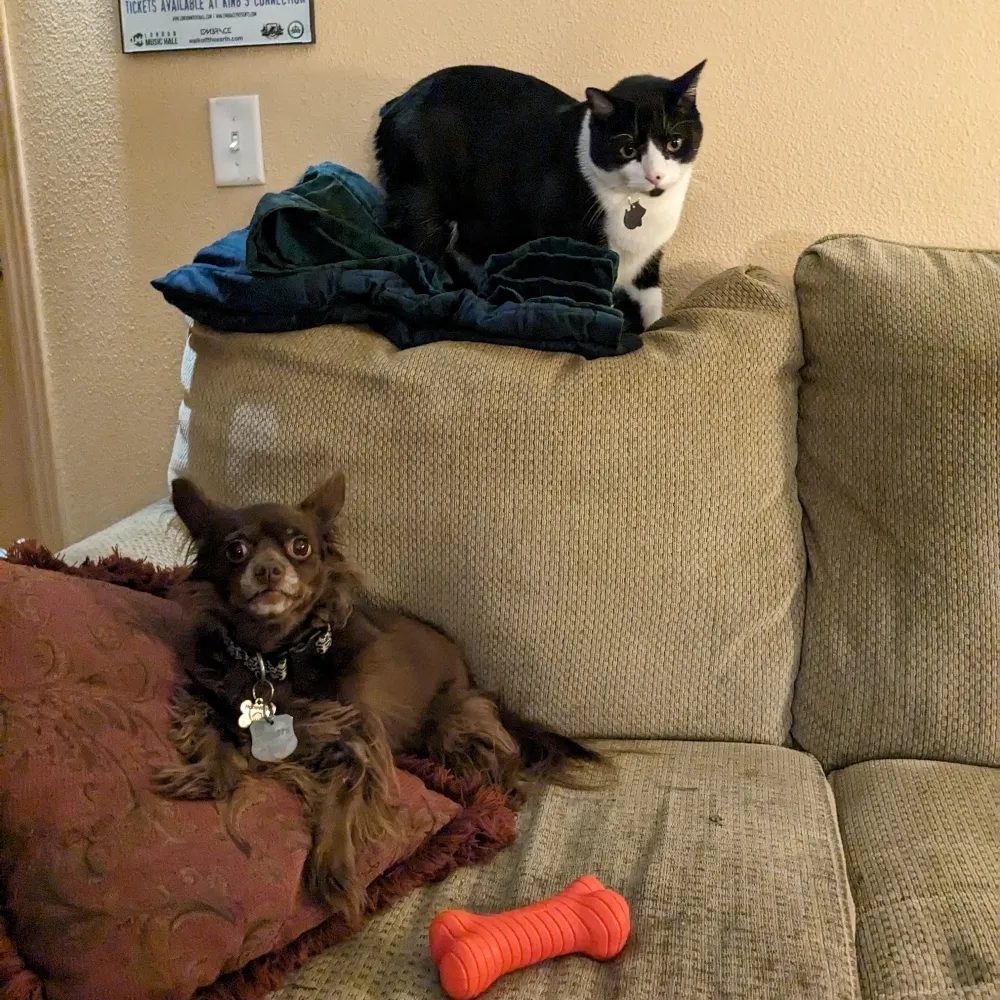 k-jm63.bsky.social's profile picture