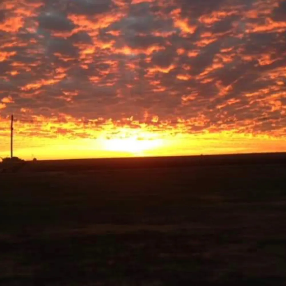 leftisrightinne.bsky.social's profile picture