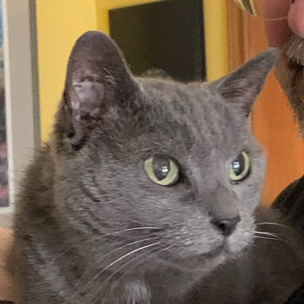 lauraloo199.bsky.social's profile picture