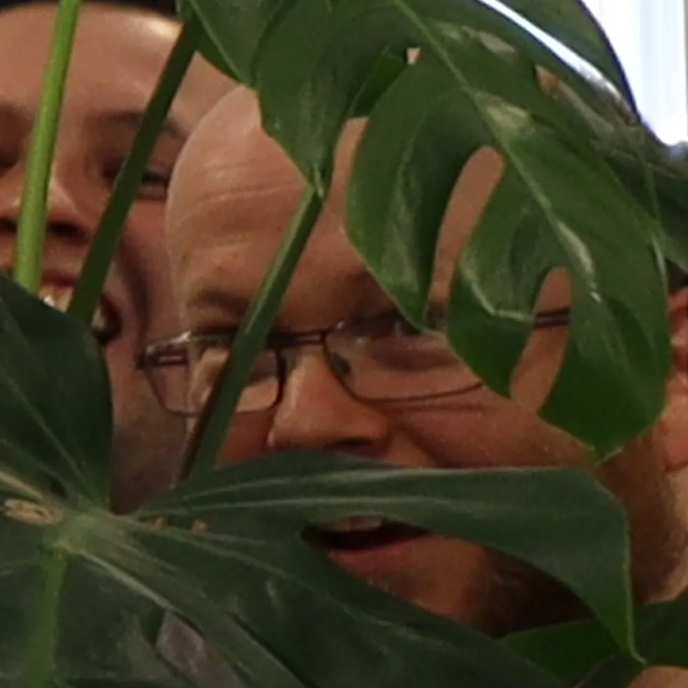 smashyrb.bsky.social's profile picture