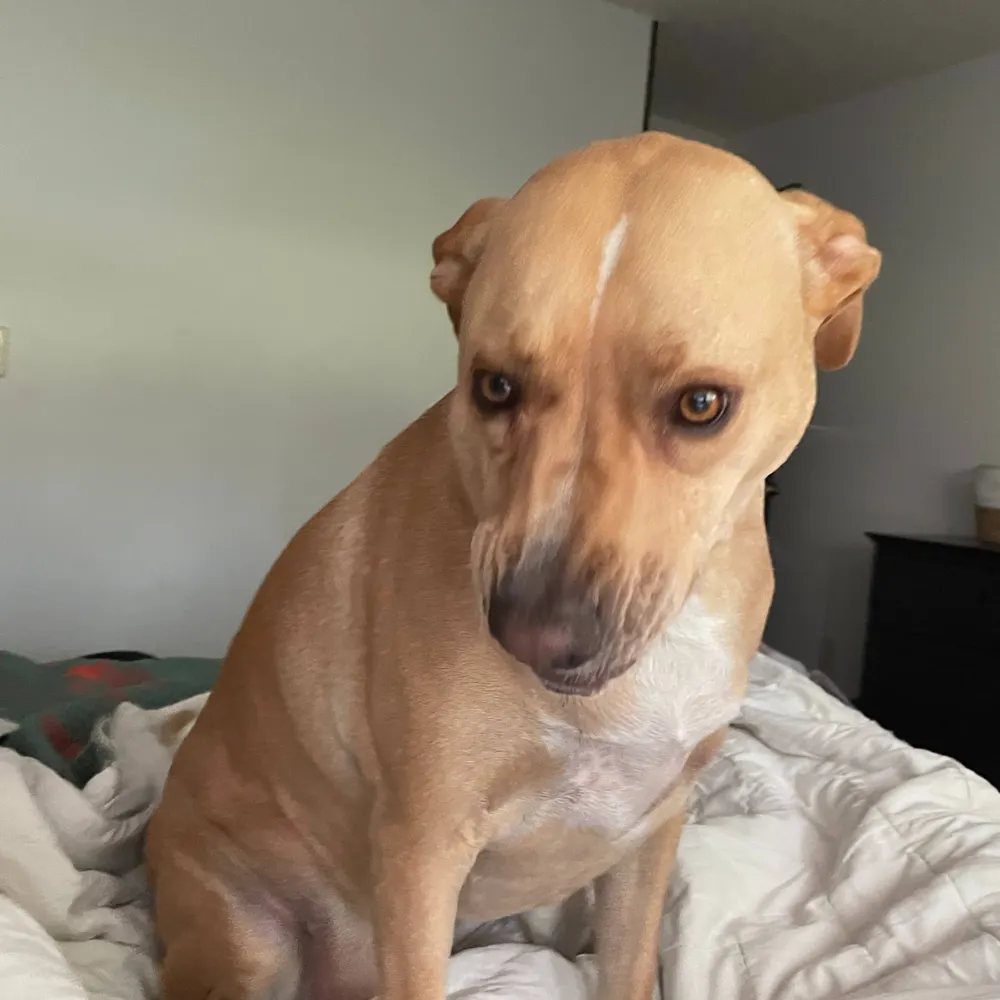 jne1018601.bsky.social's profile picture