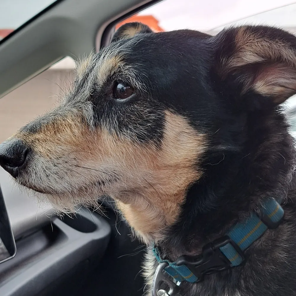 terg.bsky.social's profile picture