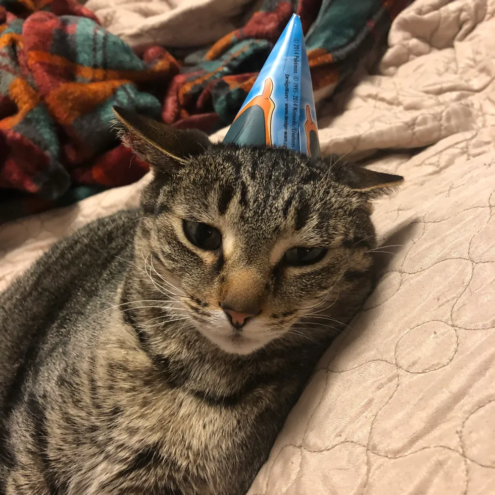 polkergeist.bsky.social's profile picture