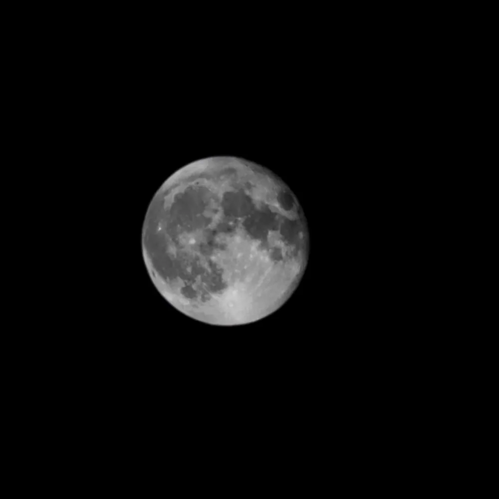 quazy1.bsky.social's profile picture