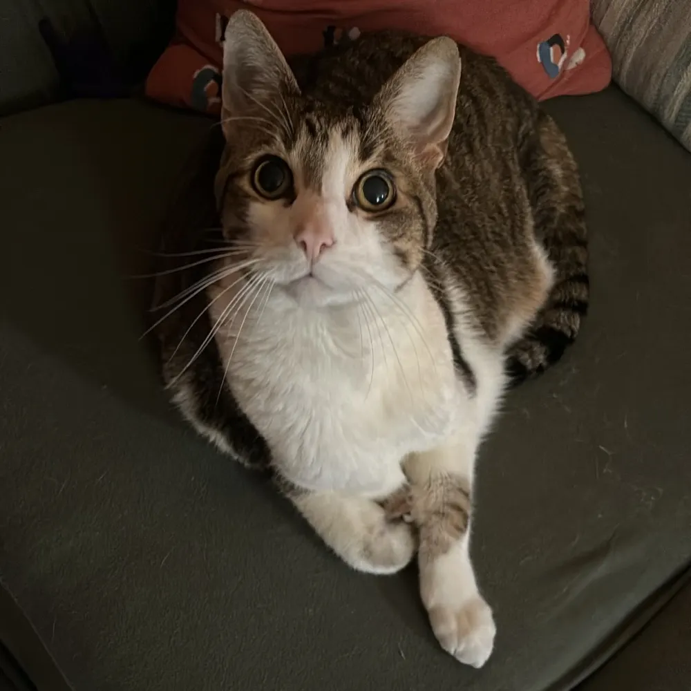 terracotta10.bsky.social's profile picture