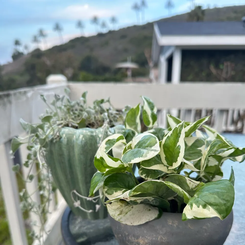 newandabitalarming.bsky.social's profile picture