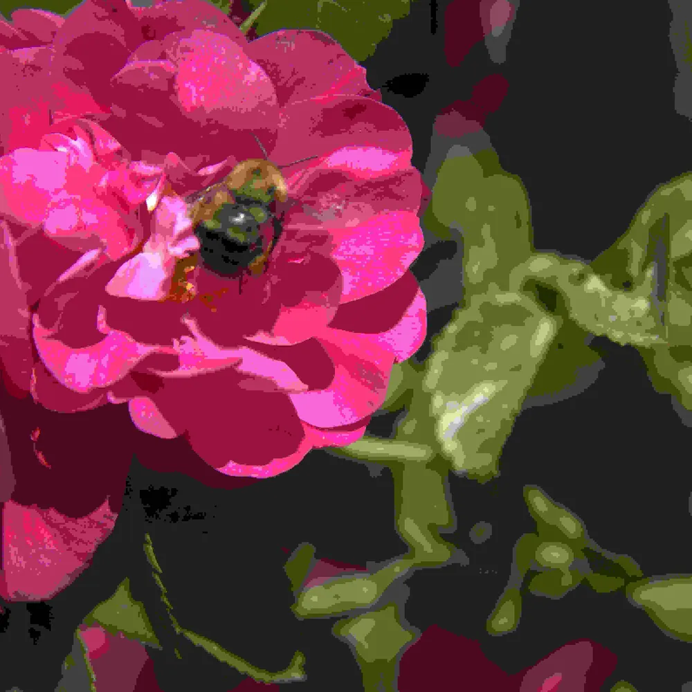 calgarycanuck.bsky.social's profile picture