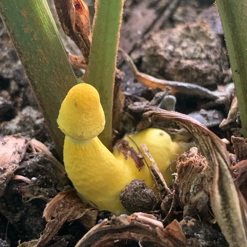 cynlacasse.bsky.social's profile picture