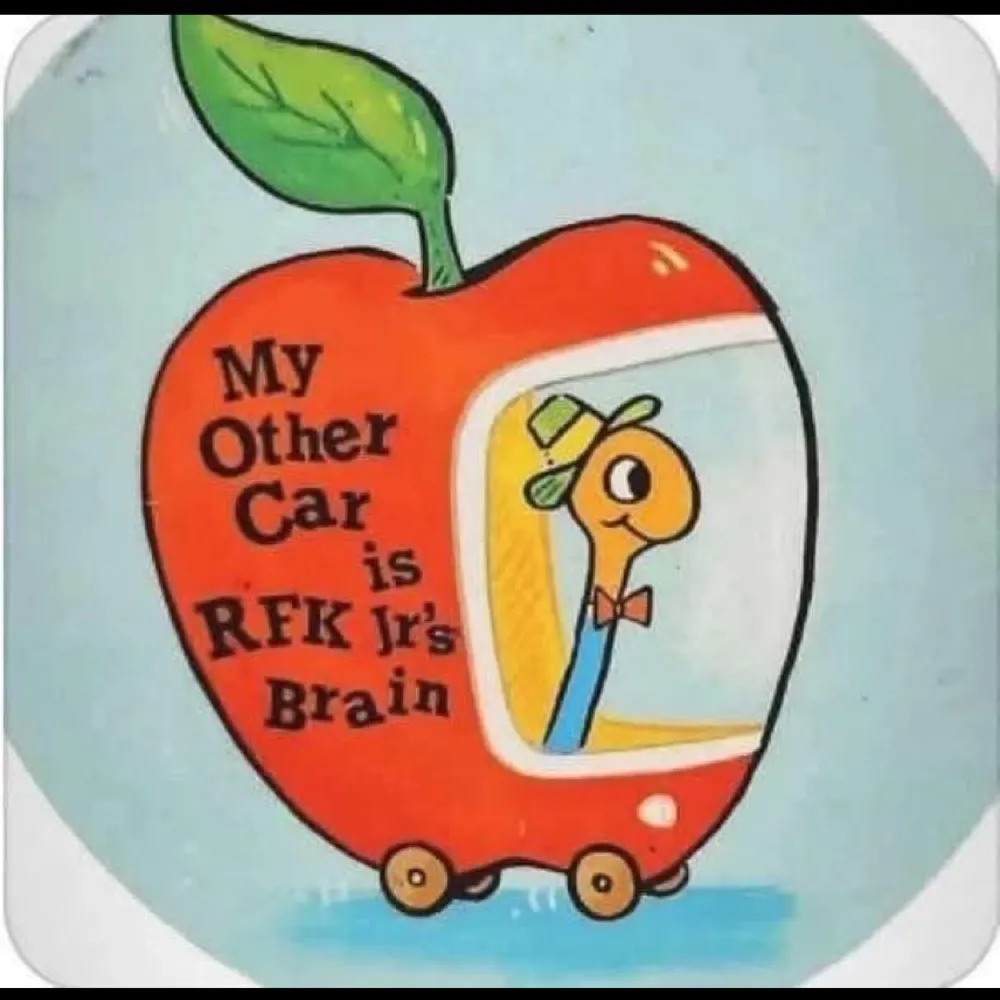 woodydelano.bsky.social's profile picture