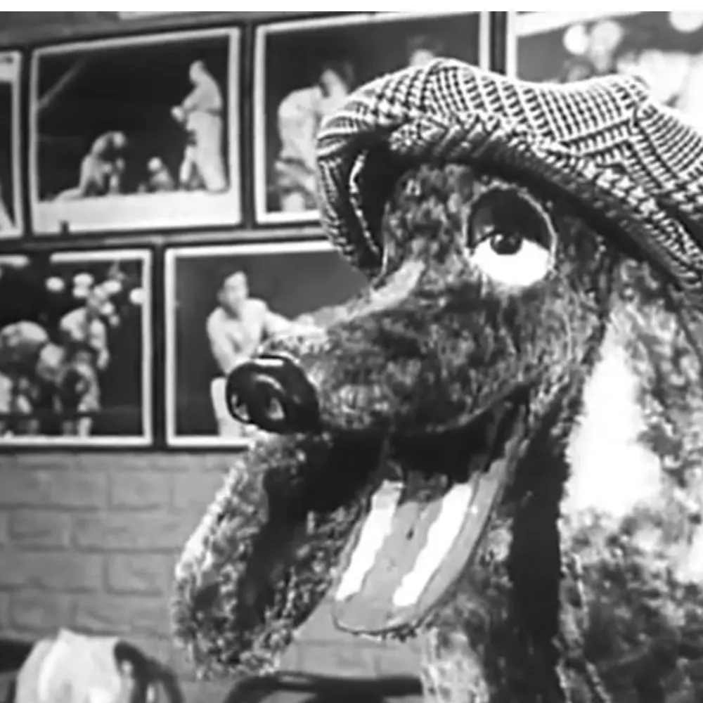 waterybint1952.bsky.social's profile picture