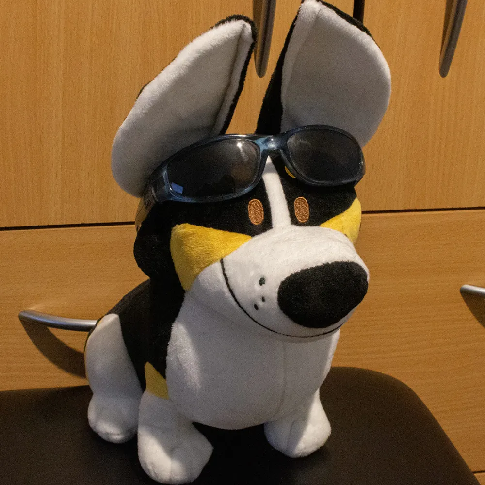 freelancerwells.bsky.social's profile picture