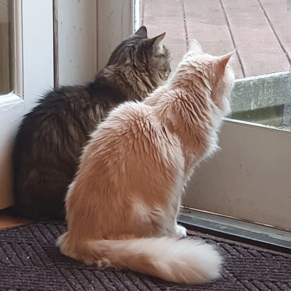 sjclermont.bsky.social's profile picture