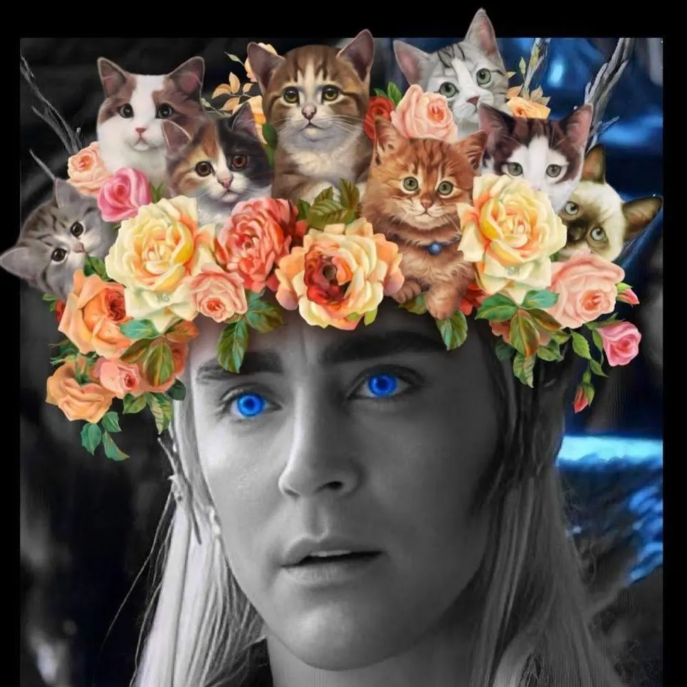 rudethranduil.bsky.social's profile picture