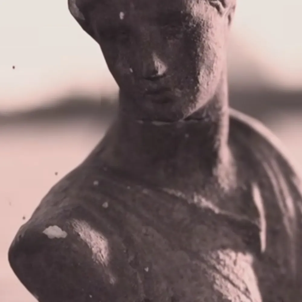 bolachamaisena.bsky.social's profile picture