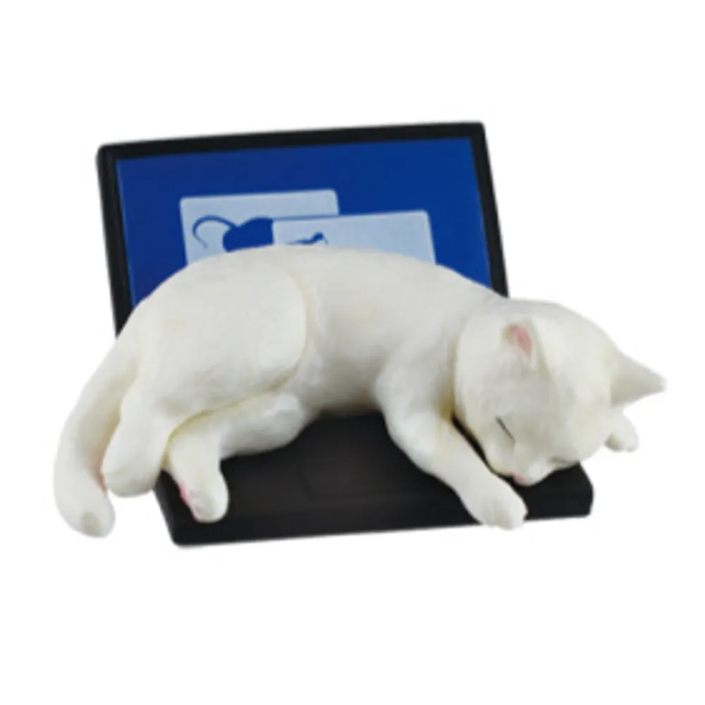 p0lyvinyl.bsky.social's profile picture