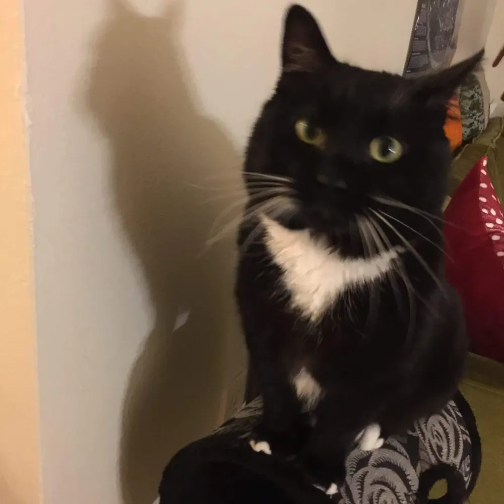 a-eliza-db.bsky.social's profile picture