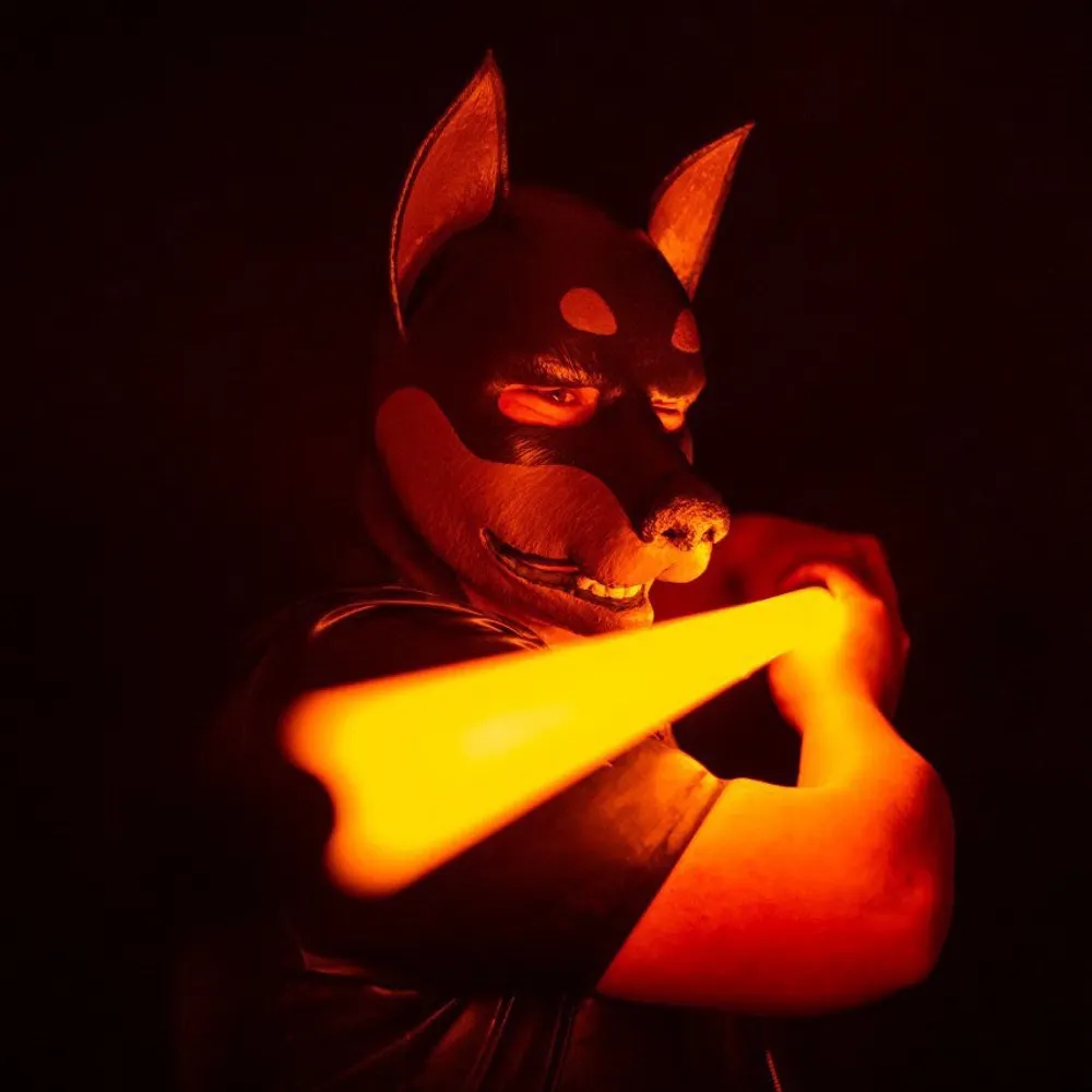 rubberlars.bsky.social's profile picture