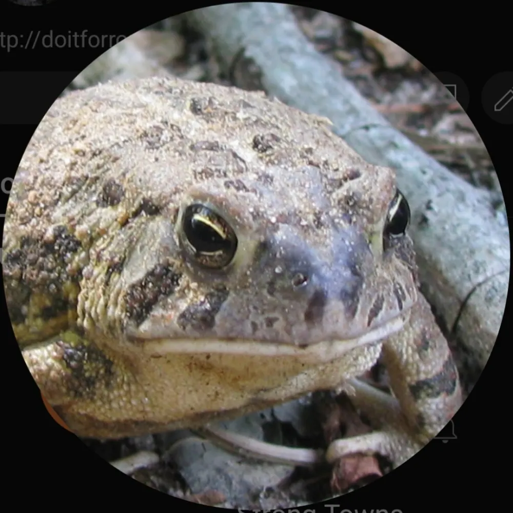 doit4ronk.bsky.social's profile picture